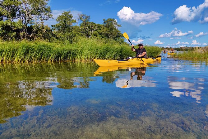 1-Day Small-Group Stockholm Archipelago Kayak Tour - What the $223.82 price includes