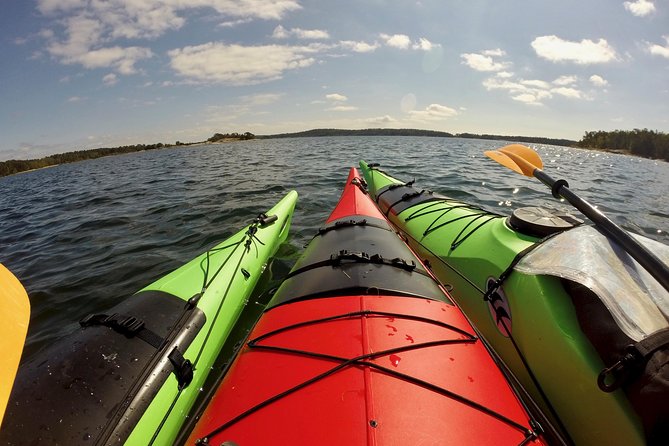 1-Day Small-Group Stockholm Archipelago Kayak Tour - Who should book this Stockholm kayaking tour