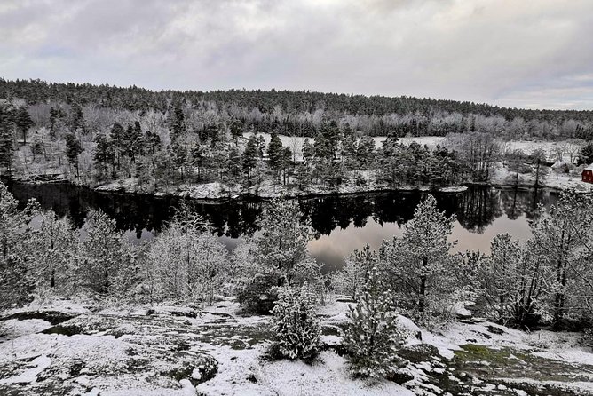 1-Day Small-Group Stockholm Nature Hiking - Leaving Stockholm for a national park