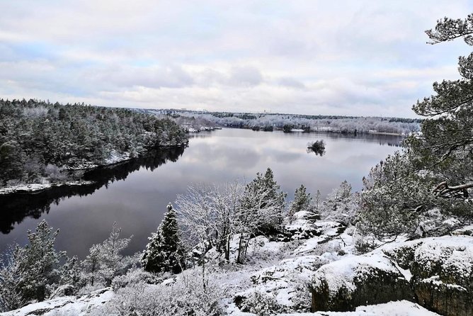 1-Day Small-Group Stockholm Nature Hiking - Daniel, Lucas, and Markus bring different touches