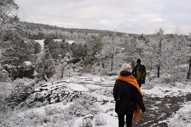 1-Day Small-Group Stockholm Nature Hiking - The campfire lunch is part of the appeal
