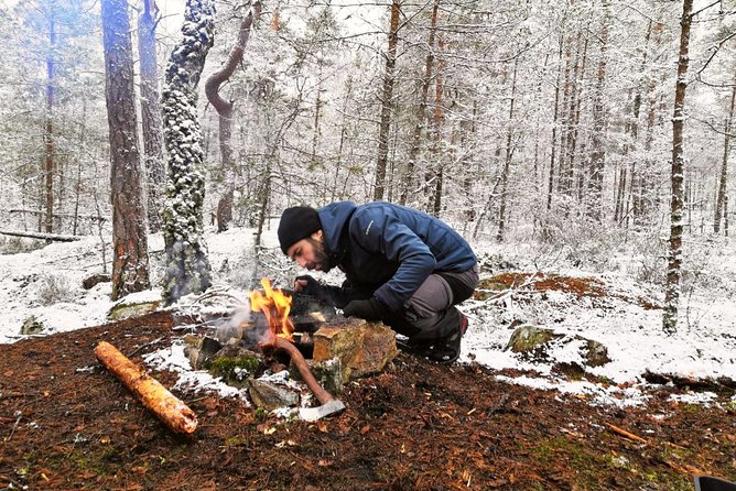 1-Day Small-Group Stockholm Nature Hiking - What the morning hike is like
