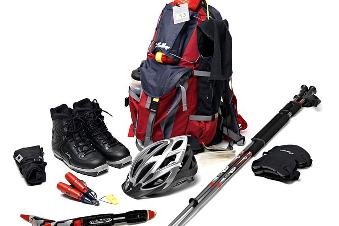 A Day on the Ice in Stockholm - Key points before you book