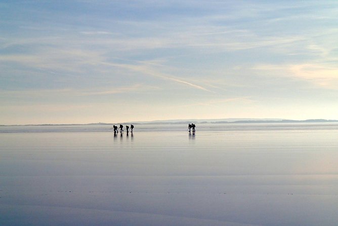 A Day on the Ice in Stockholm - A full day on the ice, with guidance that matters