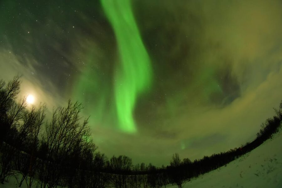 Abisko: Aurora Chasing with Snowmobiles - Abisko valley and the national park edge