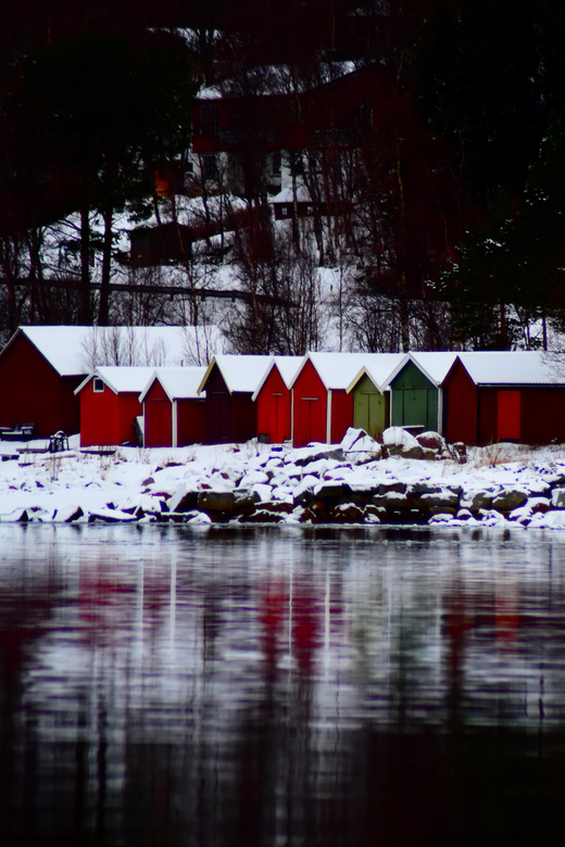 Abisko: Fjord Sightseeing and Photography Tour - Who will enjoy this tour most?