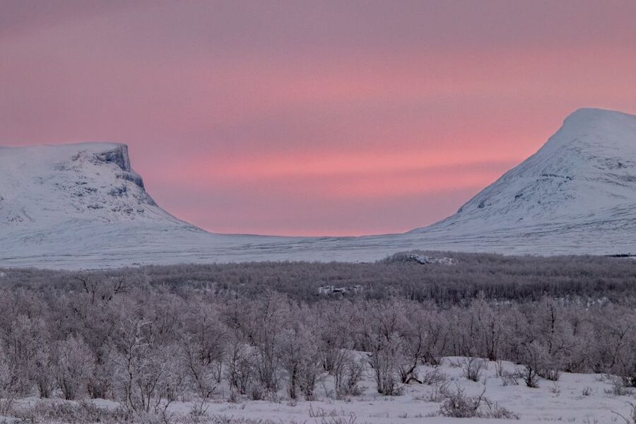 Abisko National Park: Scenic Morning Hike with Transfer - Animal tracks are part of the real experience