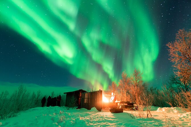 Abisko Northern Lights Tour with Photographer - Who will get the most from this tour?
