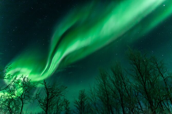 Abisko Northern Lights Tour with Photographer - Stories about Vikings and the northern lights