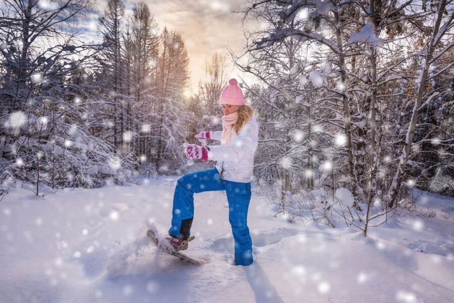 Abisko: Wilderness Snowshoe Hike - Key points to know before you book