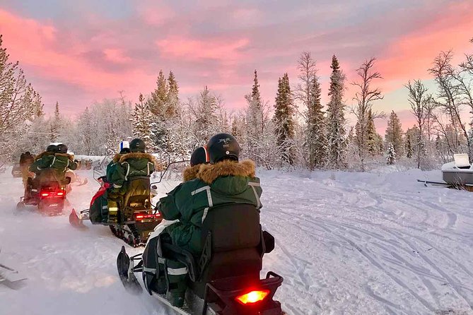 Afternoon Snowmobile Tour - Key points to know before you book
