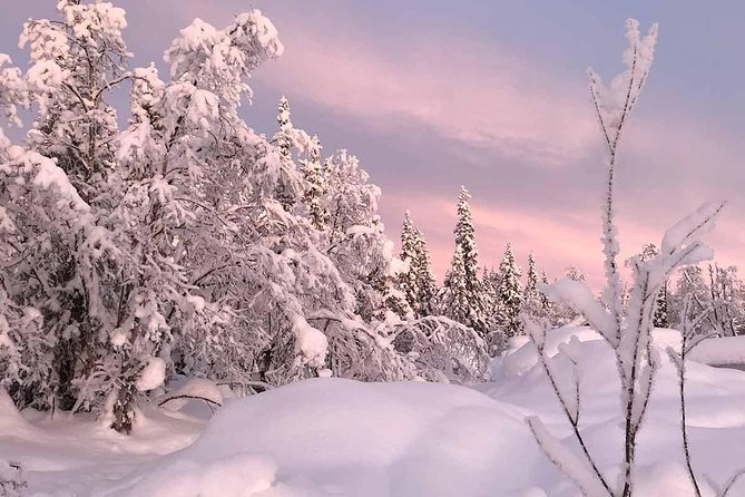 Afternoon Snowmobile Tour - What the three-hour afternoon really feels like