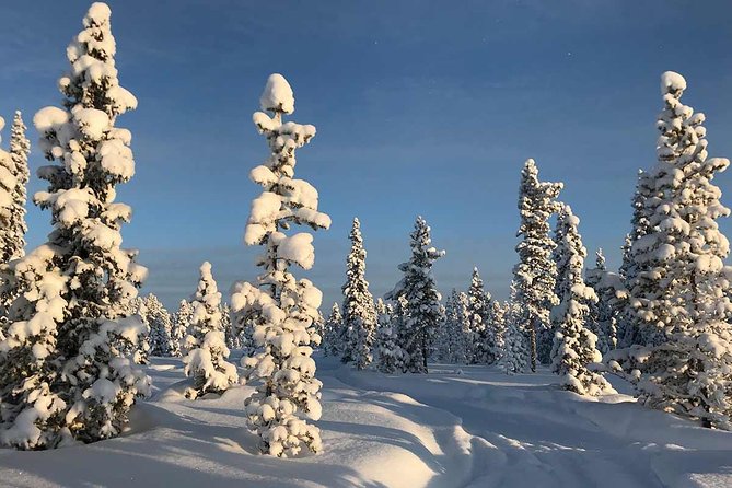 Afternoon Snowmobile Tour - Guides who keep the adventure under control