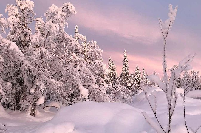 Afternoon Snowmobile Tour - Cold-weather comfort and practical limits