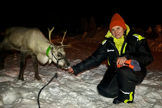 Arctic Adventure with Reindeer and Northern Lights Hunt 18:30 pm - Why this Kiruna tour feels different