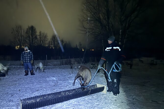 Arctic Adventure with Reindeer and Northern Lights Hunt 18:30 pm - Sámi culture beyond a quick photo stop