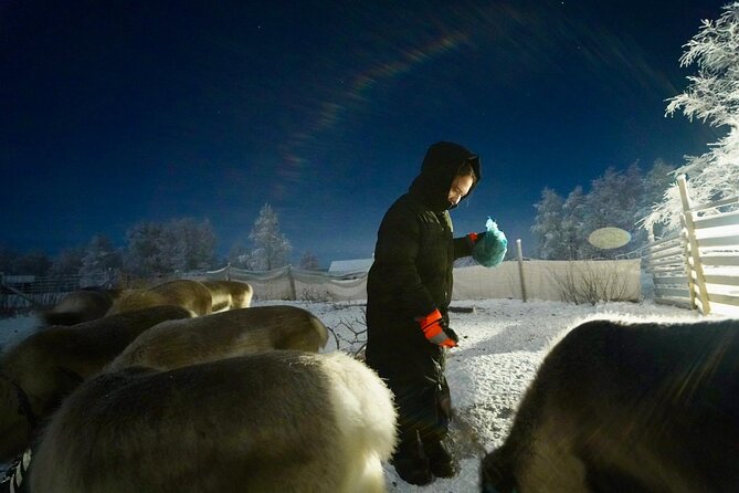 Arctic Adventure with Reindeer and Northern Lights Hunt 18:30 pm - Who will enjoy this most