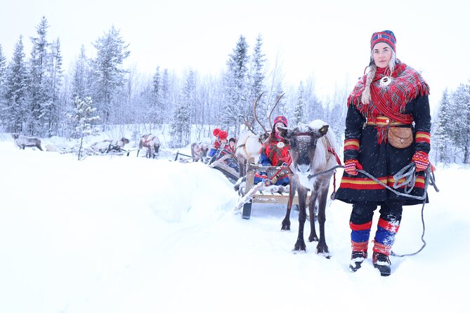 Aurora Hunting with Reindeer Caravan - Key points to know before you book