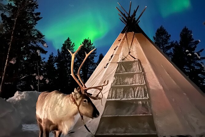 Aurora Hunting with Reindeer Caravan - Leaving Kiruna at 5:30 pm