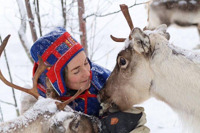 Aurora Hunting with Reindeer Caravan - The reindeer caravan into the winter forest