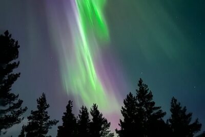 Aurora Hunting with Reindeer Caravan