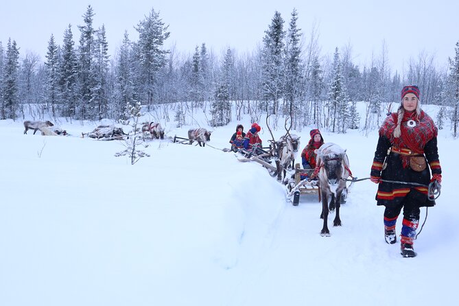 Aurora Hunting with Reindeer Caravan - Is $321 good value?