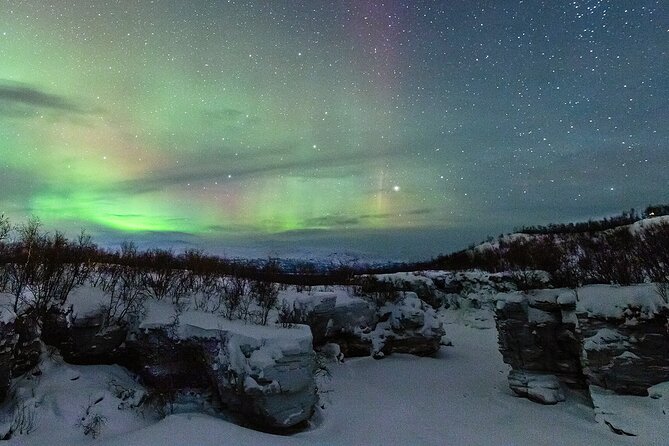 Aurora Tour with Dinner in Abisko - Key points to know before you book
