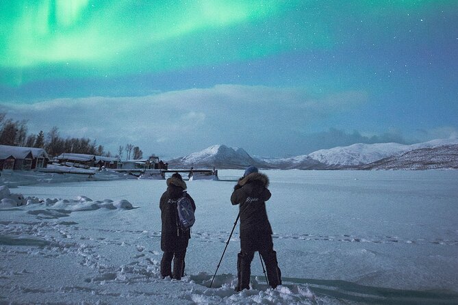 Aurora Tour with Dinner in Abisko - Walking through Abisko National Park after dark