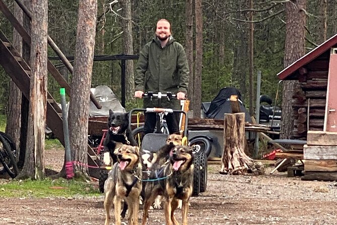 Autumn Husky Sit and Drive Cart Tour from Kiruna - Why an autumn cart ride near Kiruna is special