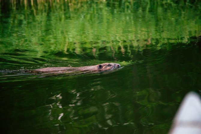 Canoe adventure in Stockholm Archipelago - What to wear and bring