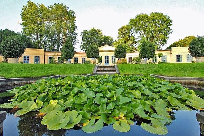 Day-Trip- to-Uppsala - What the guide can add to the day