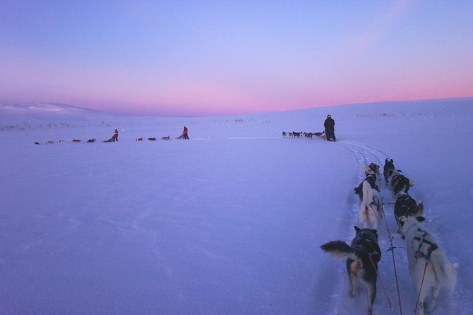 Dogsled Adventure Kiruna - Pickup from Kiruna and the first dog-sled briefing