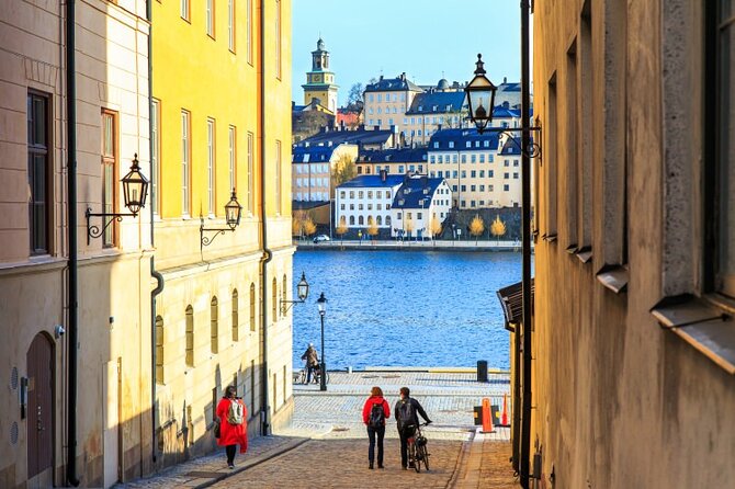 Drottningholm Palace Private Guided Tour - Who should book this experience