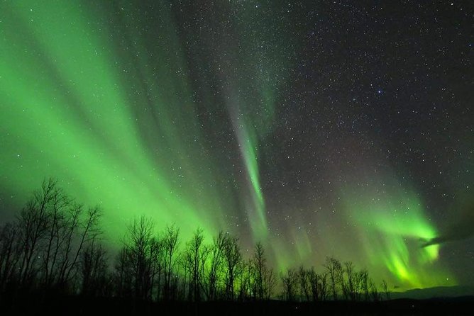 Enjoy the Aurora show on top of the mountain inc tipi dinner - Dinner in the tipi at Máttaráhkká