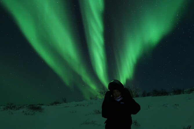 Enjoy the Aurora show on top of the mountain inc tipi dinner - Is $338.80 a fair price?