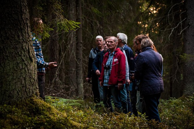 Evening Wildlife Safari Stockholm - Weather, clothing, and evening comfort