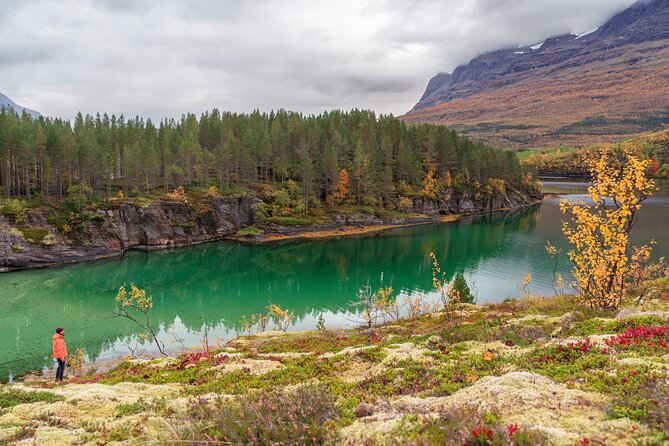 Explore the Norwegian Fjords and the Wildlife From Abisko - Wildlife from foxes to white-beaked dolphins
