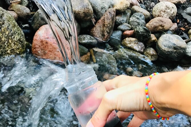 Forestbathing Slow Walking and Healing Spring Water, Stockholm - A quiet Stockholm outing in Nackareservatet