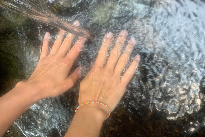 Forestbathing Slow Walking and Healing Spring Water, Stockholm - Meditation, grounding, and time to be still