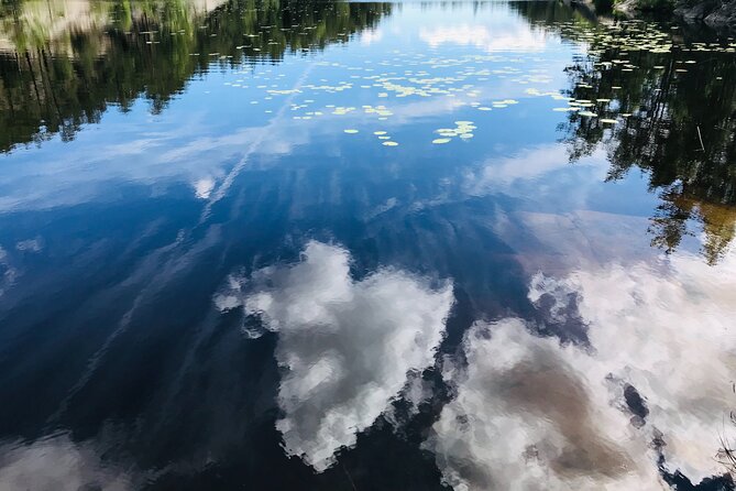 Forestbathing Slow Walking and Healing Spring Water, Stockholm - What $213.27 buys you