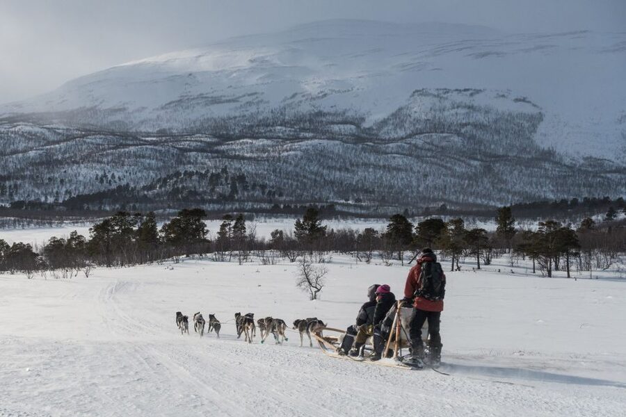From Abisko: Dog Sledding Excursion to Kiruna with Fika - From Abisko to the dogsled camp near Kiruna