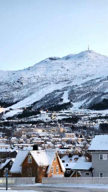 From Kiruna: Narvik City and Fjord Day Trip - From Kiruna to Abisko on the morning road