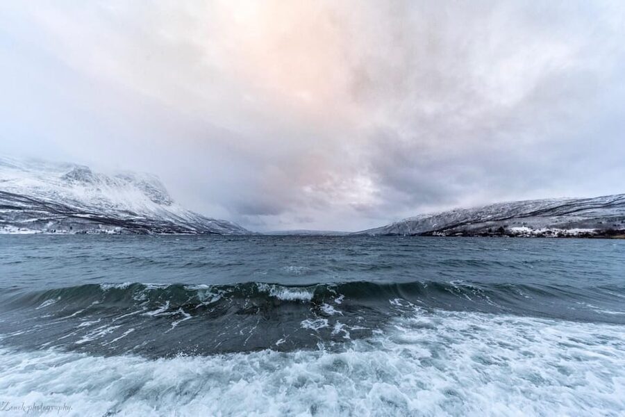 From Kiruna: Narvik City and Fjord Day Trip - Wildlife, waterfalls, and the value of flexible stops