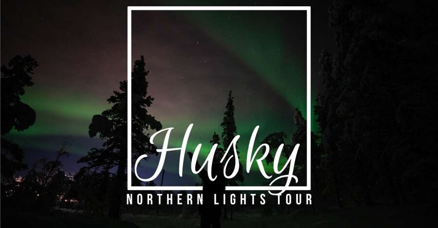 From Kiruna: Northern Lights Guided Husky Sledding Adventure - Key points before you book
