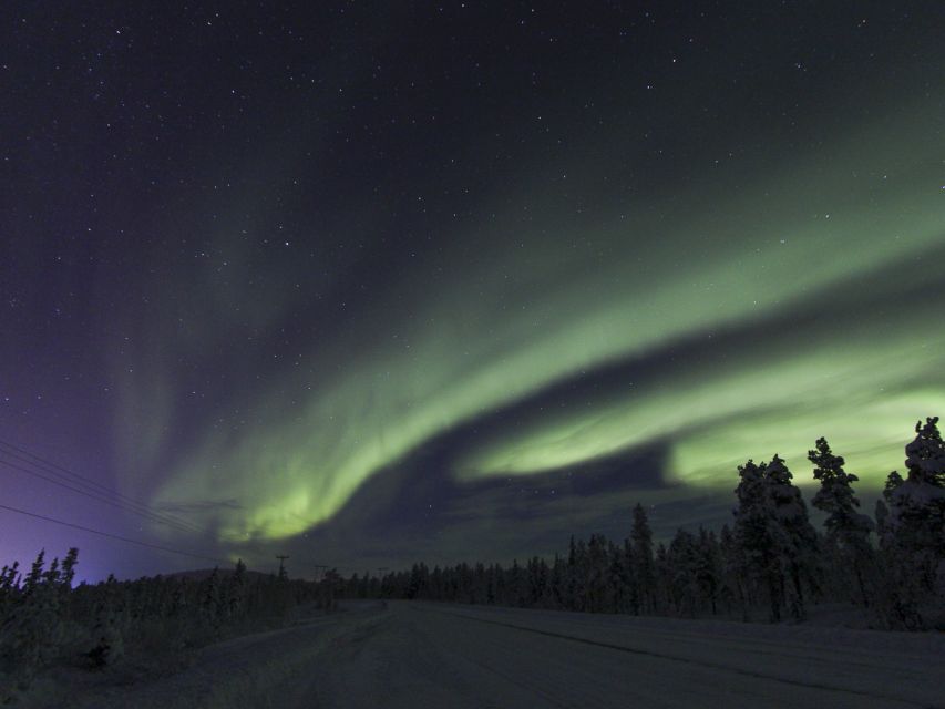 From Kiruna: Northern Lights Guided Husky Sledding Adventure - From Kiruna to the husky base at Kalixforsbron