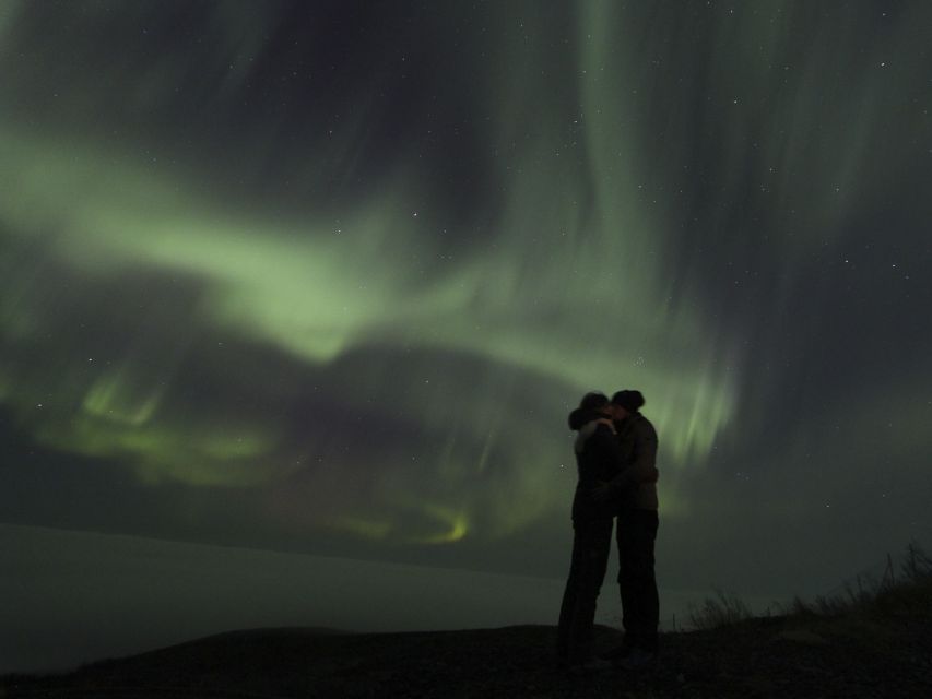 From Kiruna: Northern Lights Guided Husky Sledding Adventure - The 1.5-hour night ride through snow and silence