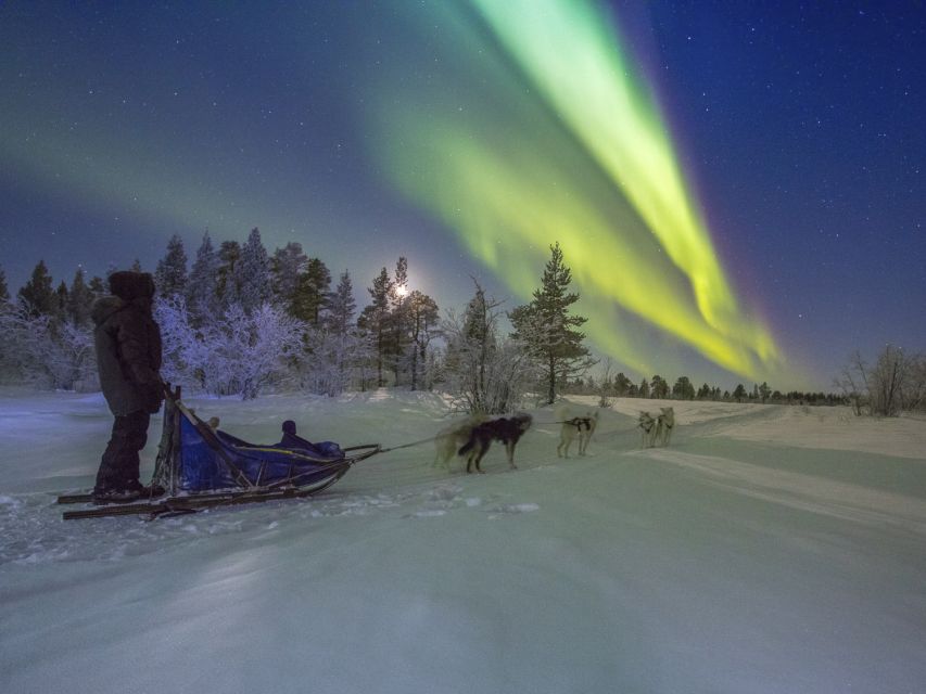 From Kiruna: Northern Lights Guided Husky Sledding Adventure - Who will enjoy this night sled tour?