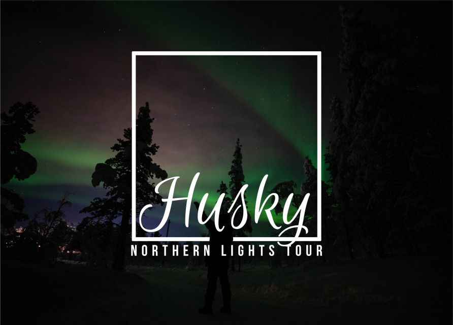 From Kiruna: Northern Lights Guided Husky Sledding Adventure - Getting ready: 30 minutes of dog care and safety instruction