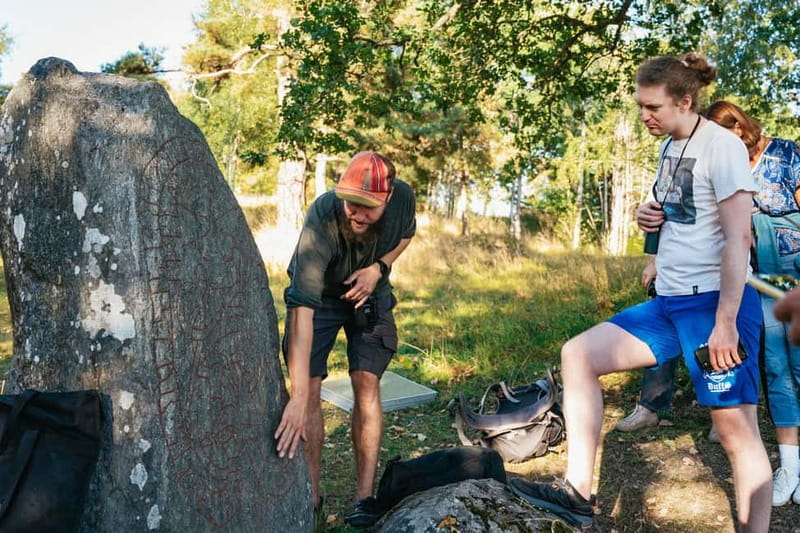 From Stockholm: Moose & Wildlife Safari with Campfire Dinner - Swedish animals explained by the fire