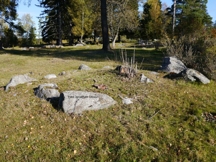 From Stockholm: Viking Culture and Heritage Small Group Tour - What the three-hour schedule really gives you